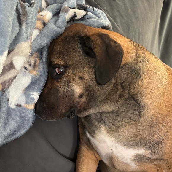 jenforbes97